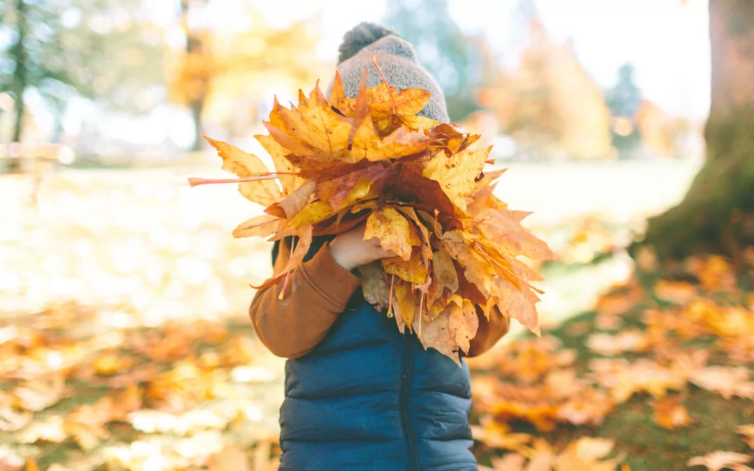 Herfstdip tegengaan door immuunsysteem te versterken